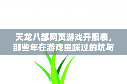 那些年在游戏里踩过的坑与摸出的野路子天龙八部私服图片