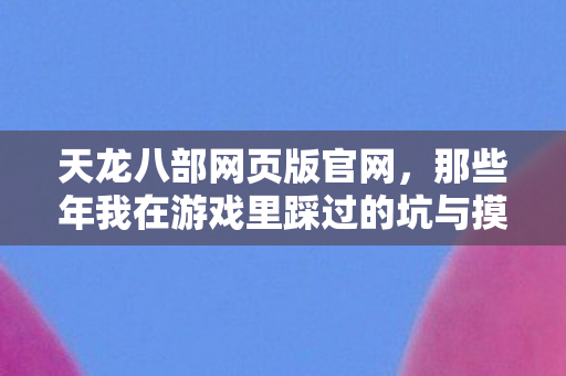 那些年我在游戏里踩过的坑与摸出的野路子天龙私服图片
