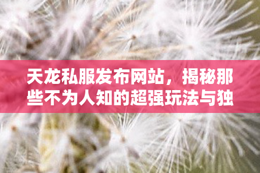 揭秘那些不为人知的超强玩法与独特版本塑造天龙八部私服图片