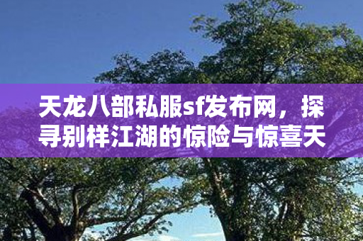 探寻别样江湖的惊险与惊喜天龙私服图片