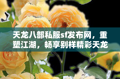 畅享别样精彩天龙八部私服图片
