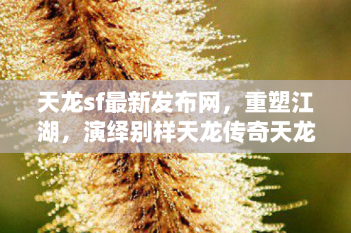 演绎别样天龙传奇天龙私服图片