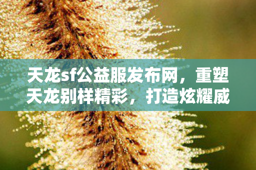 打造炫耀威力的独特版本天龙八部私服图片