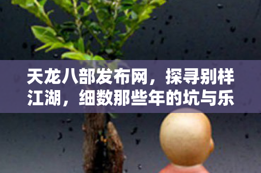 细数那些年的坑与乐天龙八部私服图片