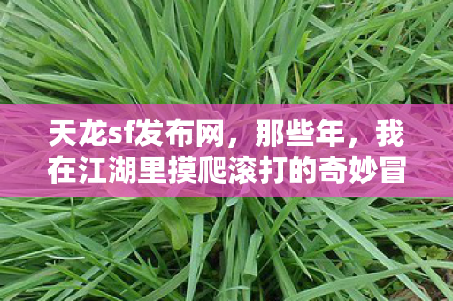 我在江湖里摸爬滚打的奇妙冒险天龙八部私服图片