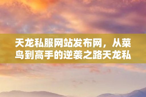 从菜鸟到高手的逆袭之路天龙私服图片