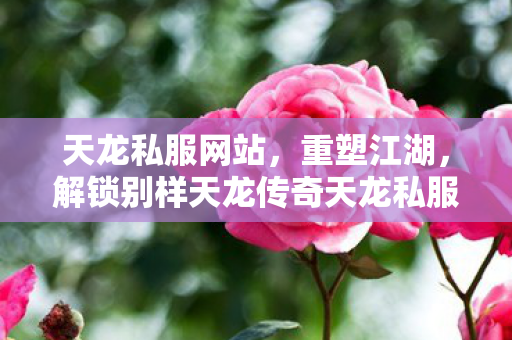 解锁别样天龙传奇天龙私服图片