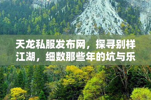 细数那些年的坑与乐天龙八部私服图片