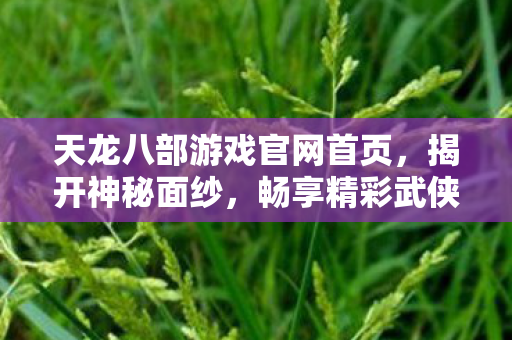 畅享精彩武侠世界天龙八部私服图片