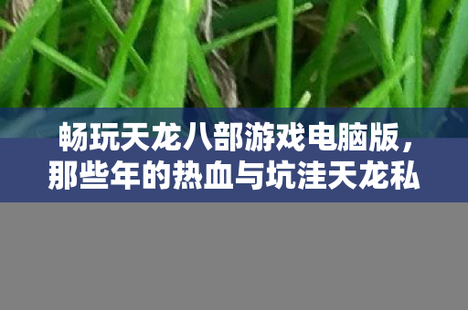 那些年的热血与坑洼天龙私服图片