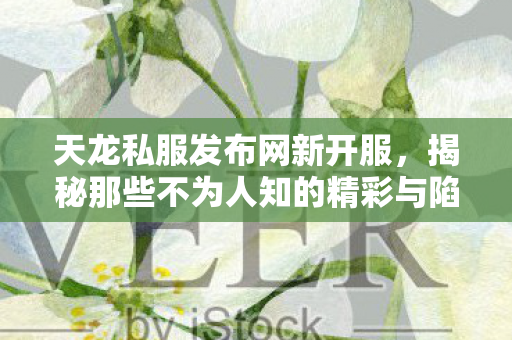 揭秘那些不为人知的精彩与陷阱天龙私服图片