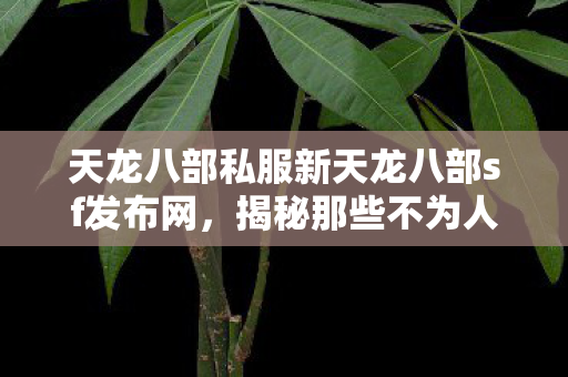 揭秘那些不为人知的劲爆玩法与角色塑造天龙八部私服图片
