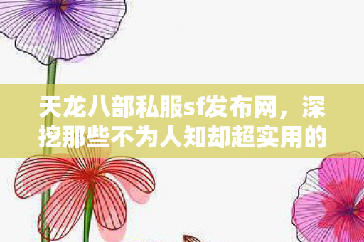 深挖那些不为人知却超实用的玩法与避坑指南天龙私服图片