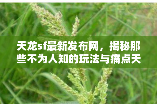 揭秘那些不为人知的玩法与痛点天龙八部私服图片
