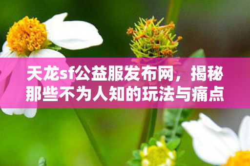 揭秘那些不为人知的玩法与痛点图片