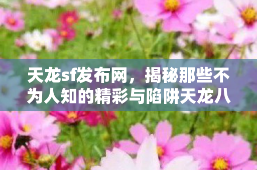 揭秘那些不为人知的精彩与陷阱天龙八部私服图片