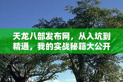 我的实战秘籍大公开天龙私服图片