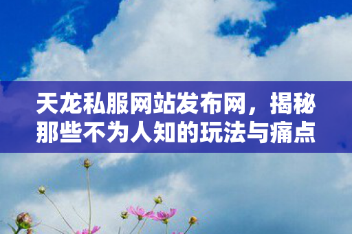 揭秘那些不为人知的玩法与痛点天龙八部私服图片