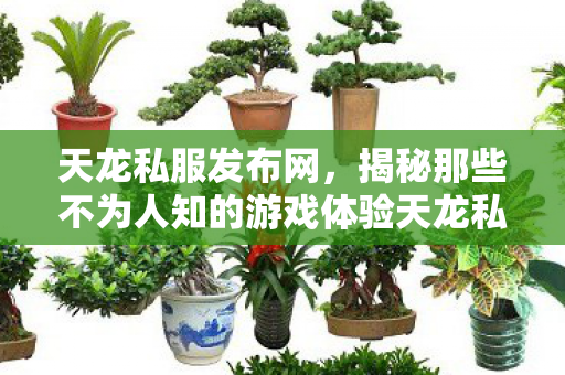 揭秘那些不为人知的游戏体验天龙私服图片
