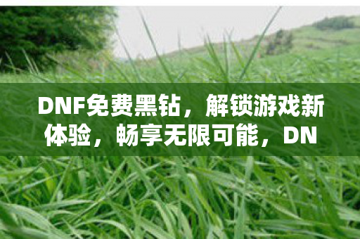 DNF免费黑钻解锁游戏新体验图片
