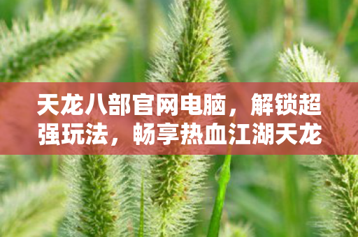 畅享热血江湖天龙私服图片