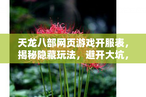 天龙八部网页游戏开服表图片