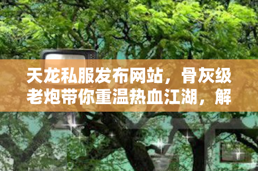 解锁全功能畅玩江湖天龙八部私服图片