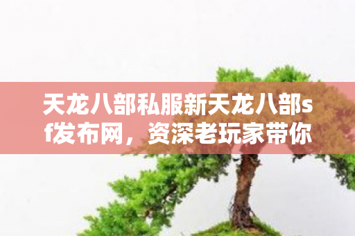 资深老玩家带你领略别样江湖天龙私服图片