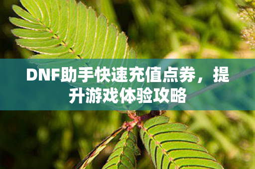 DNF助手快速充值点券图片