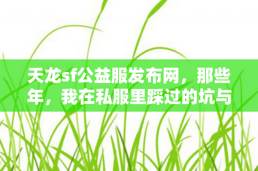 我在私服里踩过的坑与摸出的野路子天龙八部私服图片