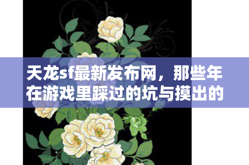 那些年在游戏里踩过的坑与摸出的野路子天龙八部私服图片