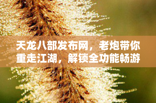 解锁全功能畅游武林天龙八部私服图片