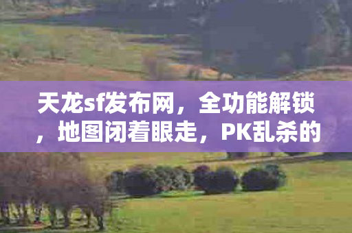 PK乱杀的骨灰级玩家传奇天龙八部私服图片