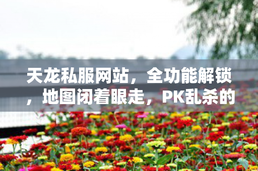 PK乱杀的骨灰级老炮玩法天龙八部私服图片