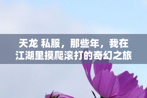 我在江湖里摸爬滚打的奇幻之旅天龙八部私服图片
