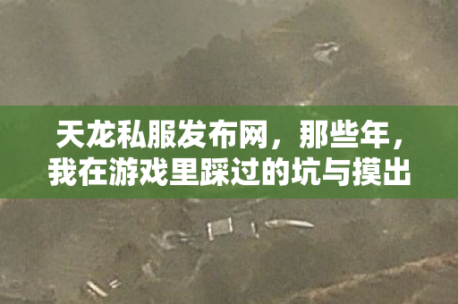 我在游戏里踩过的坑与摸出的野路子天龙八部私服图片