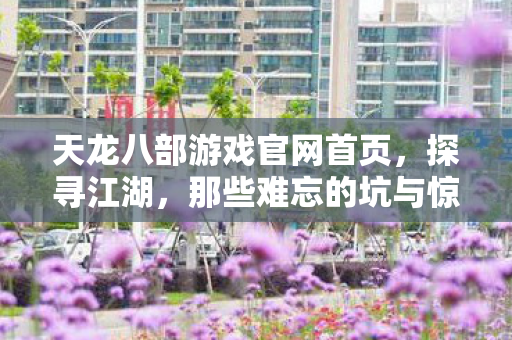 那些难忘的坑与惊喜天龙私服图片