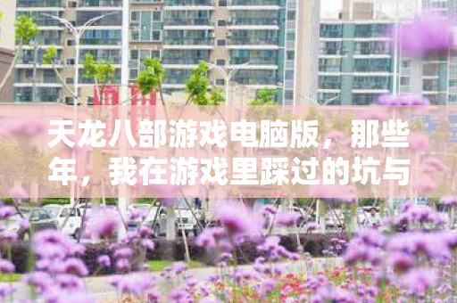 我在游戏里踩过的坑与摸出的野路子天龙私服图片