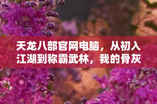 我的骨灰级游戏之路天龙八部私服图片