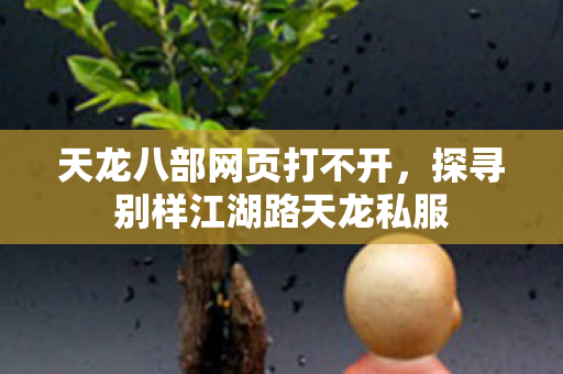 探寻别样江湖路天龙私服图片