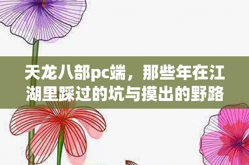 那些年在江湖里踩过的坑与摸出的野路子天龙八部私服图片
