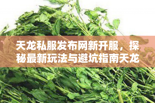 探秘最新玩法与避坑指南天龙私服图片