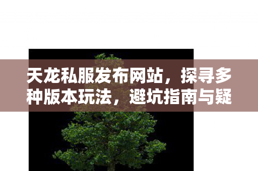 避坑指南与疑问解答天龙八部私服图片