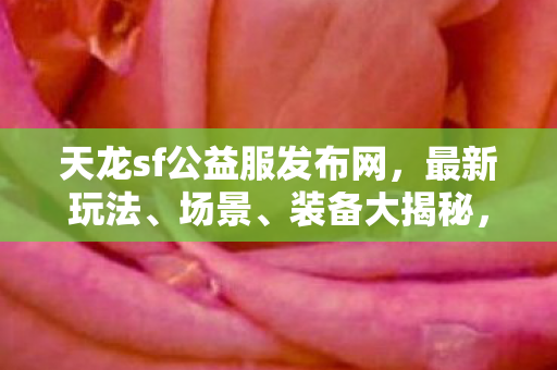 助你畅游天龙世界天龙八部私服图片