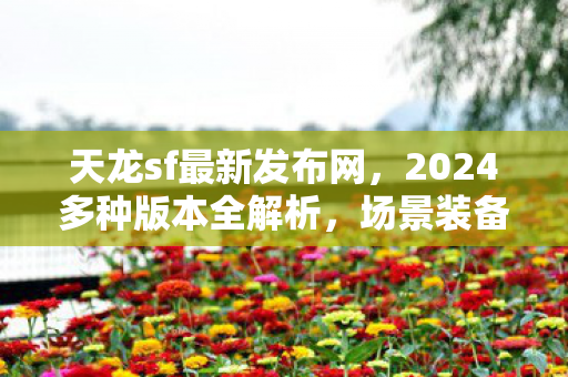 2024多种版本全解析图片