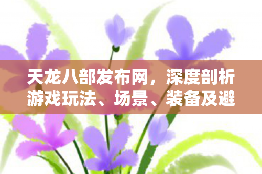 装备及避坑指南天龙私服图片