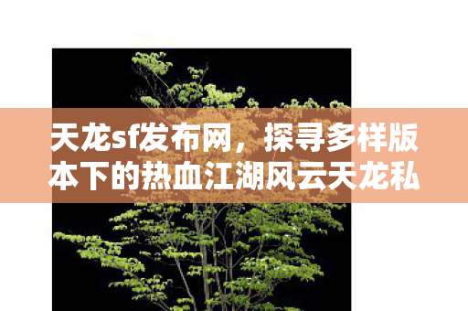 探寻多样版本下的热血江湖风云天龙私服图片
