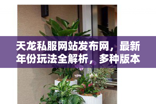 多种版本场景装备大揭秘天龙私服图片
