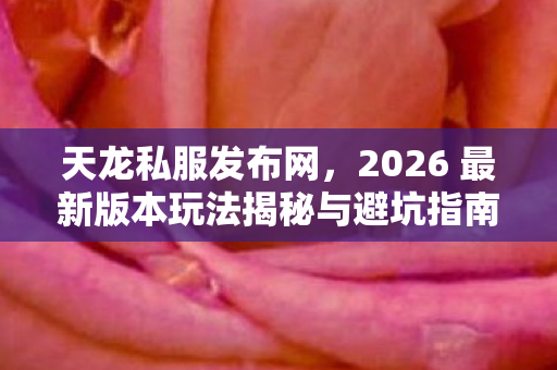 2026 最新版本玩法揭秘与避坑指南天龙八部私服图片