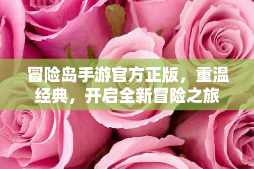 冒险岛手游官方正版图片